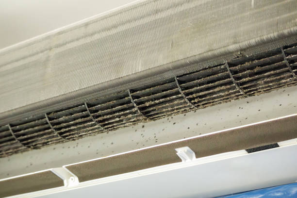 Air Duct Mold Removal in Rossmoor, NJ